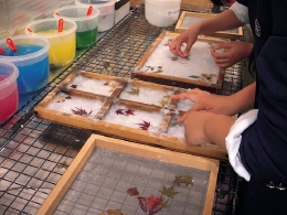 手漉き和紙体験